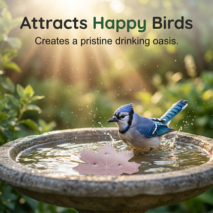 🔥HOT SALE 50% OFF🍁Universal Fit Bird Bath Purifier